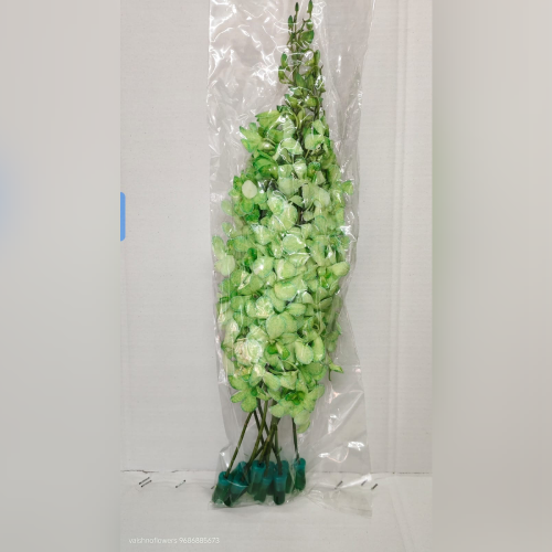 Flower 3