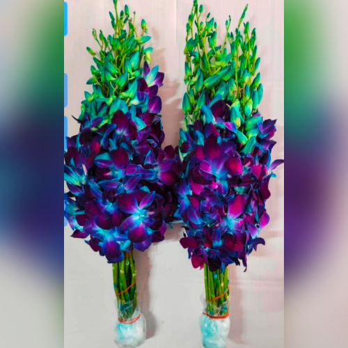 Flower 4