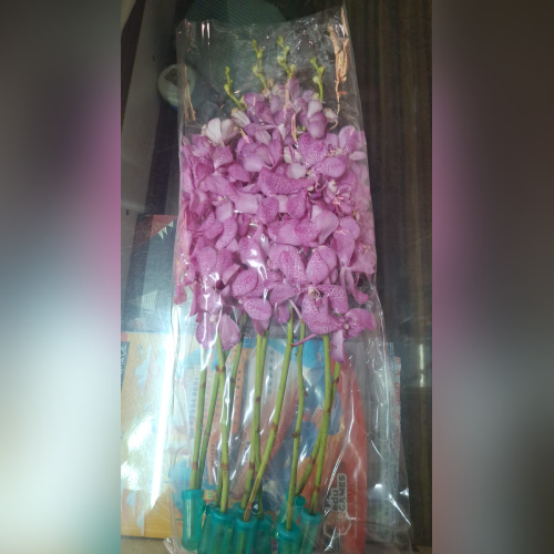 Flower 5