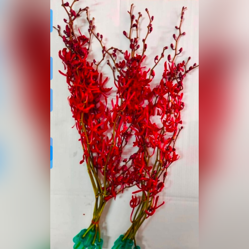 Flower 7
