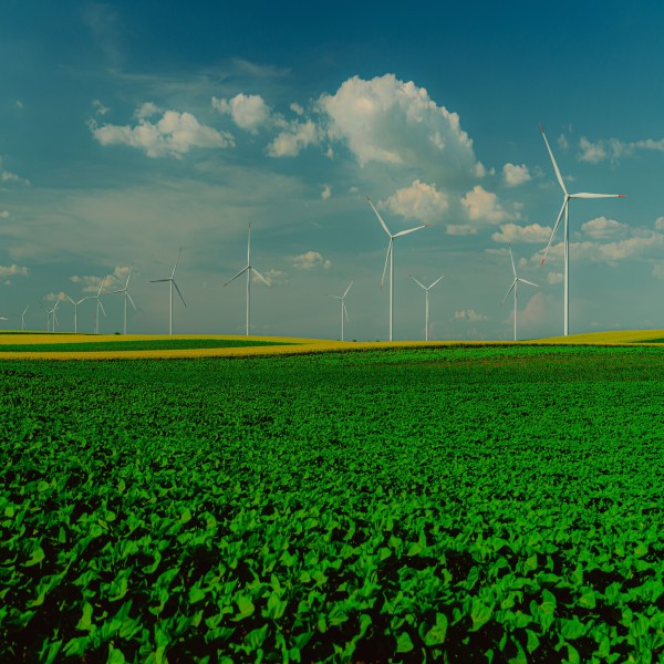 Sustainability 