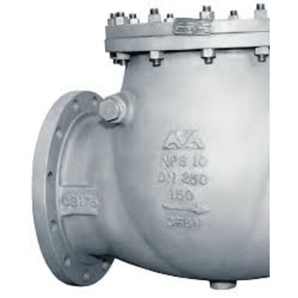 Swing check valves